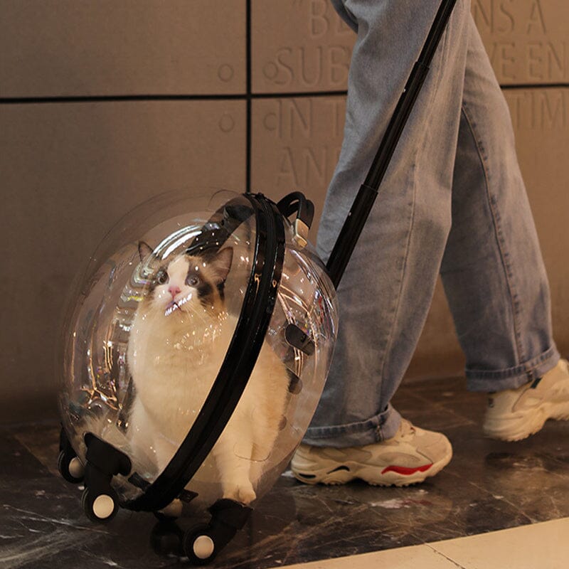Transparent White Pet Travel Trolley Suitcase Living and Home 