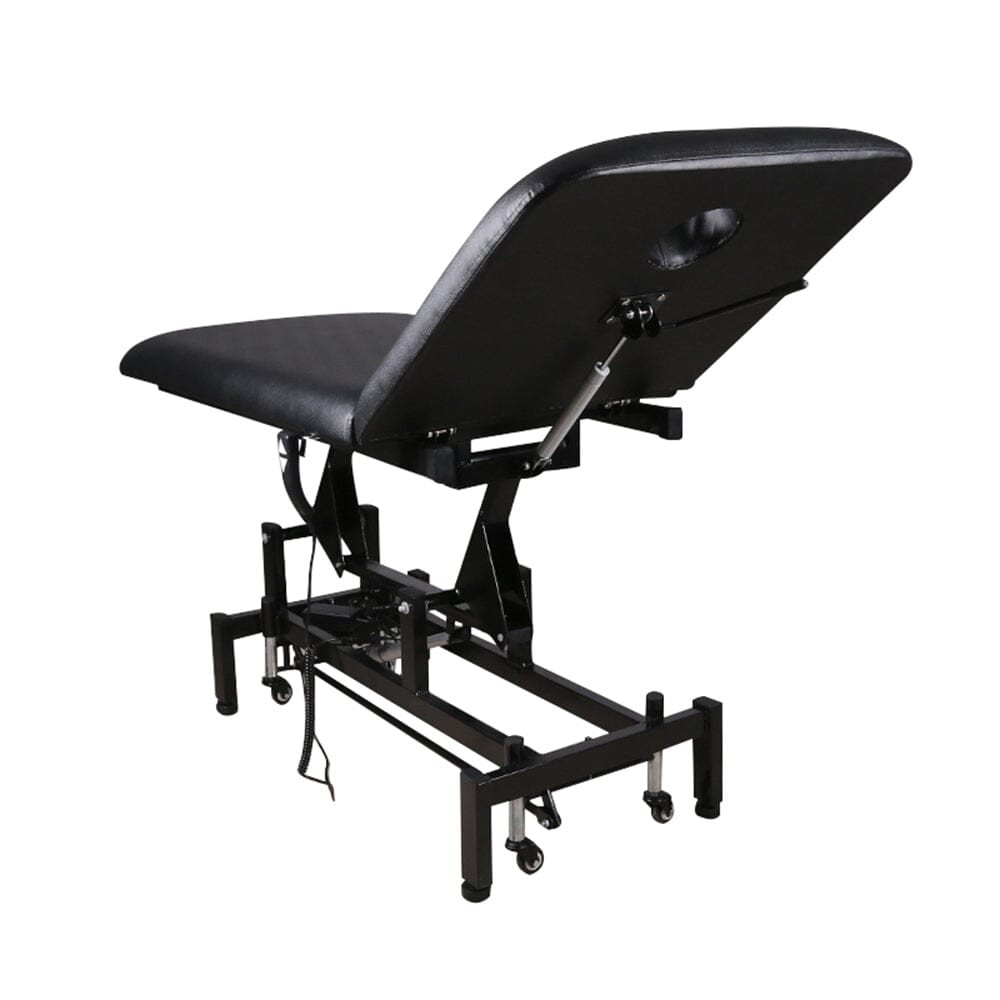 Electric Adjustable Reclining Tattoo Chair - Portable Salon Spa Bed Living and Home 