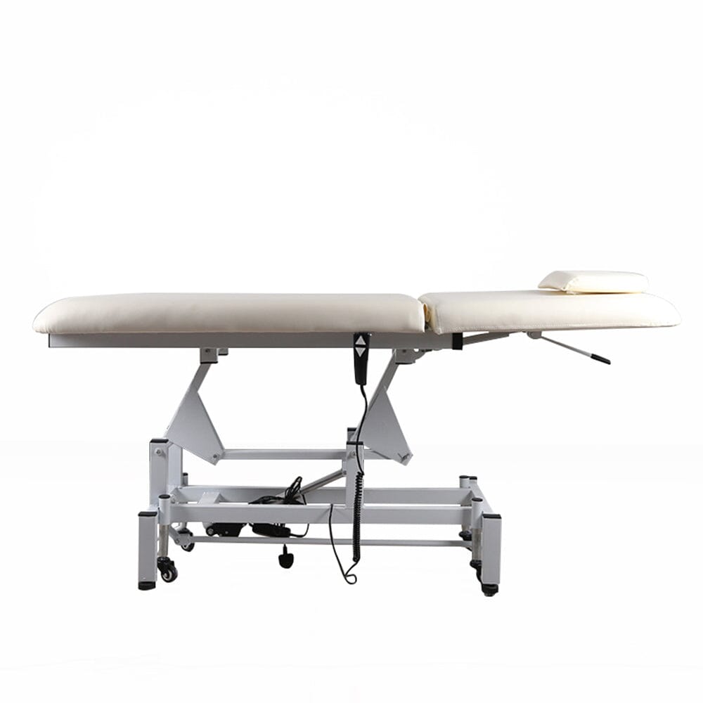 Electric Adjustable Reclining Tattoo Chair - Portable Salon Spa Bed Living and Home 