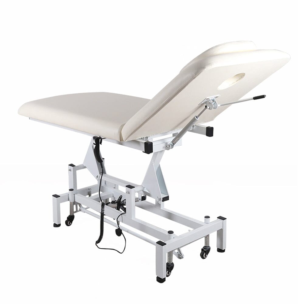 Electric Adjustable Reclining Tattoo Chair - Portable Salon Spa Bed Living and Home 