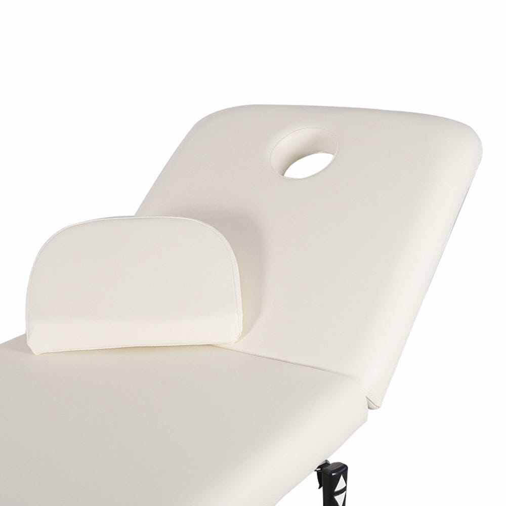 Electric Adjustable Reclining Tattoo Chair - Portable Salon Spa Bed Living and Home 