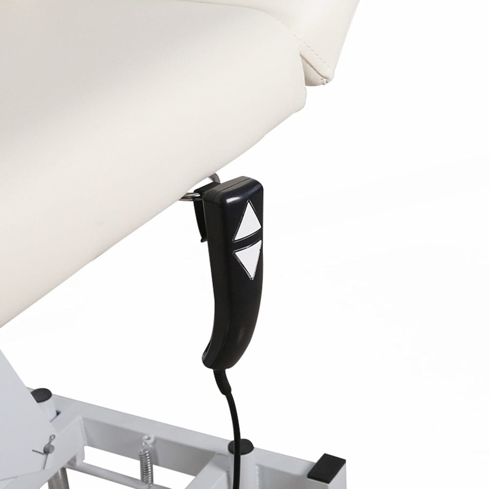 Electric Adjustable Reclining Tattoo Chair - Portable Salon Spa Bed Living and Home 