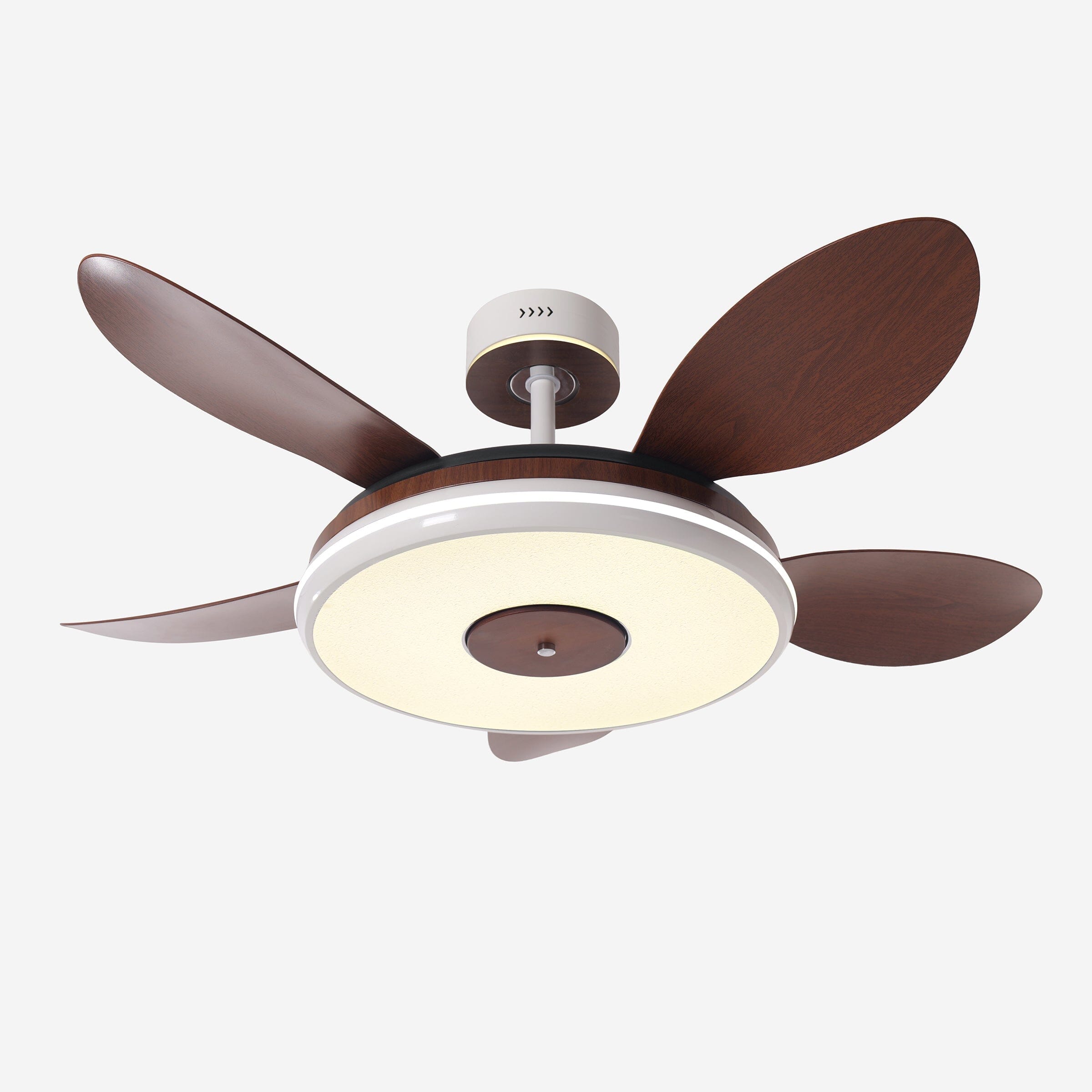 Walnut 48 Inch Reversible LED Ceiling Fan Light with Remote Lightsin UK 