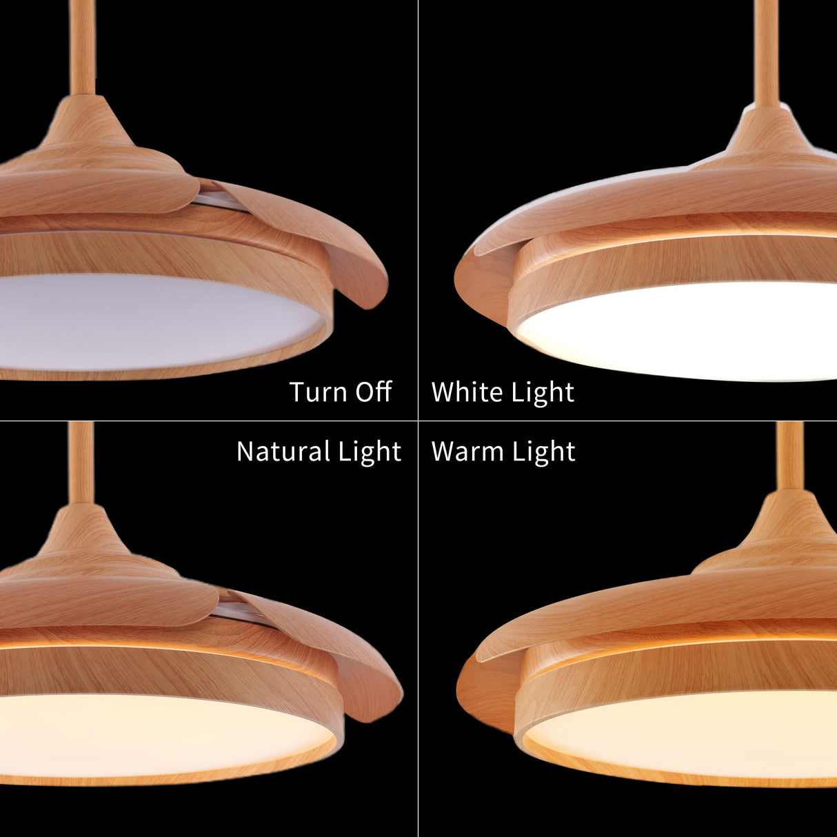 Lightsin Elegant Contemporary Ceiling Fan Light Featuring Soft LED Illumination Lightsin UK 