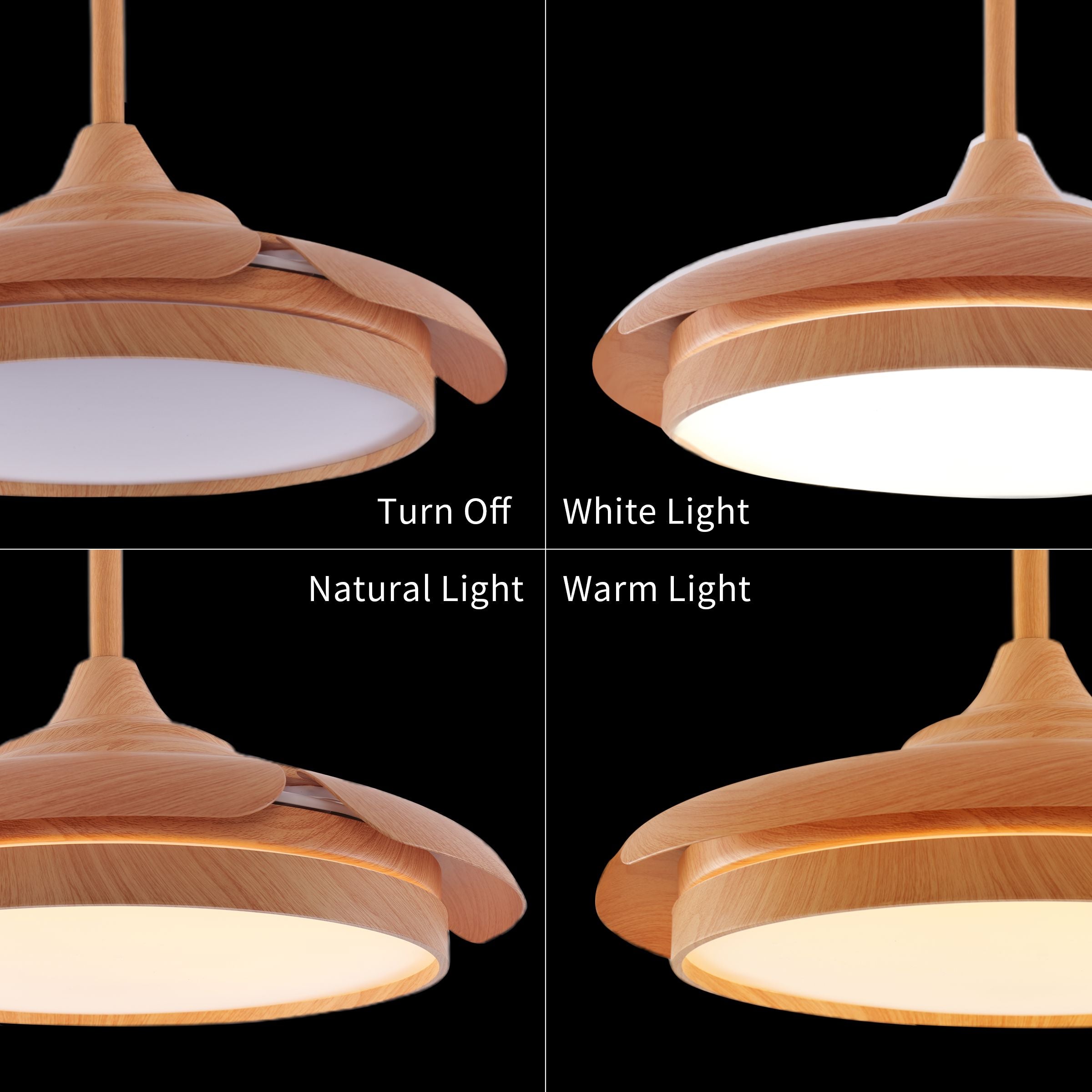 Lightsin Elegant Contemporary Ceiling Fan Light Featuring Soft LED Illumination Lightsin UK 
