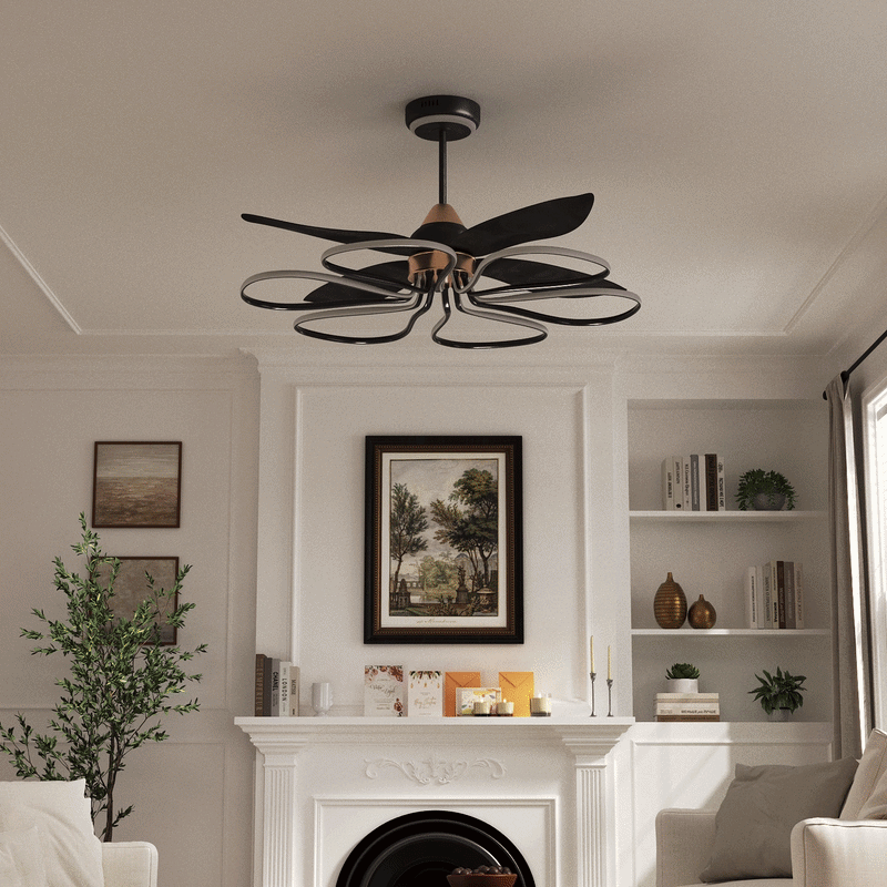 Lightsin 36-inch Black Modern Petal LED Ceiling Fan with Light - 6-Speed with Remote Control Lightsin UK 
