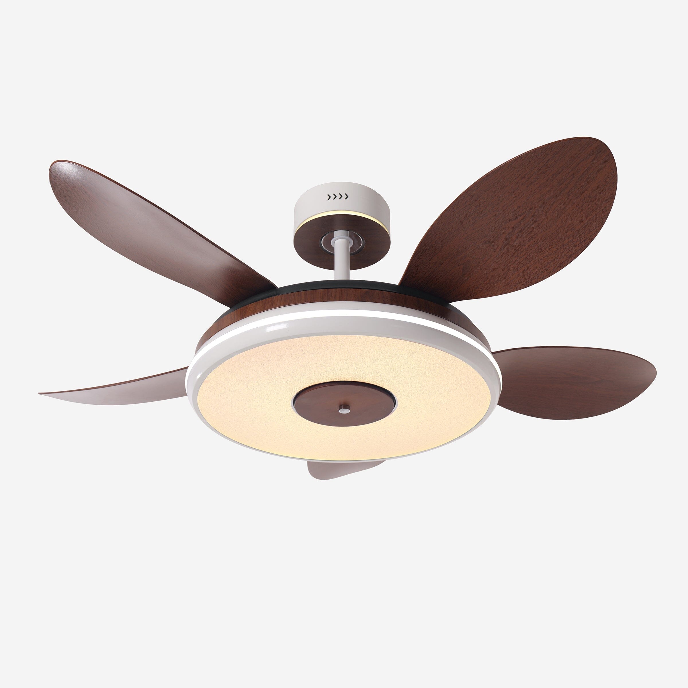 Walnut 48 Inch Reversible LED Ceiling Fan Light with Remote Lightsin UK 