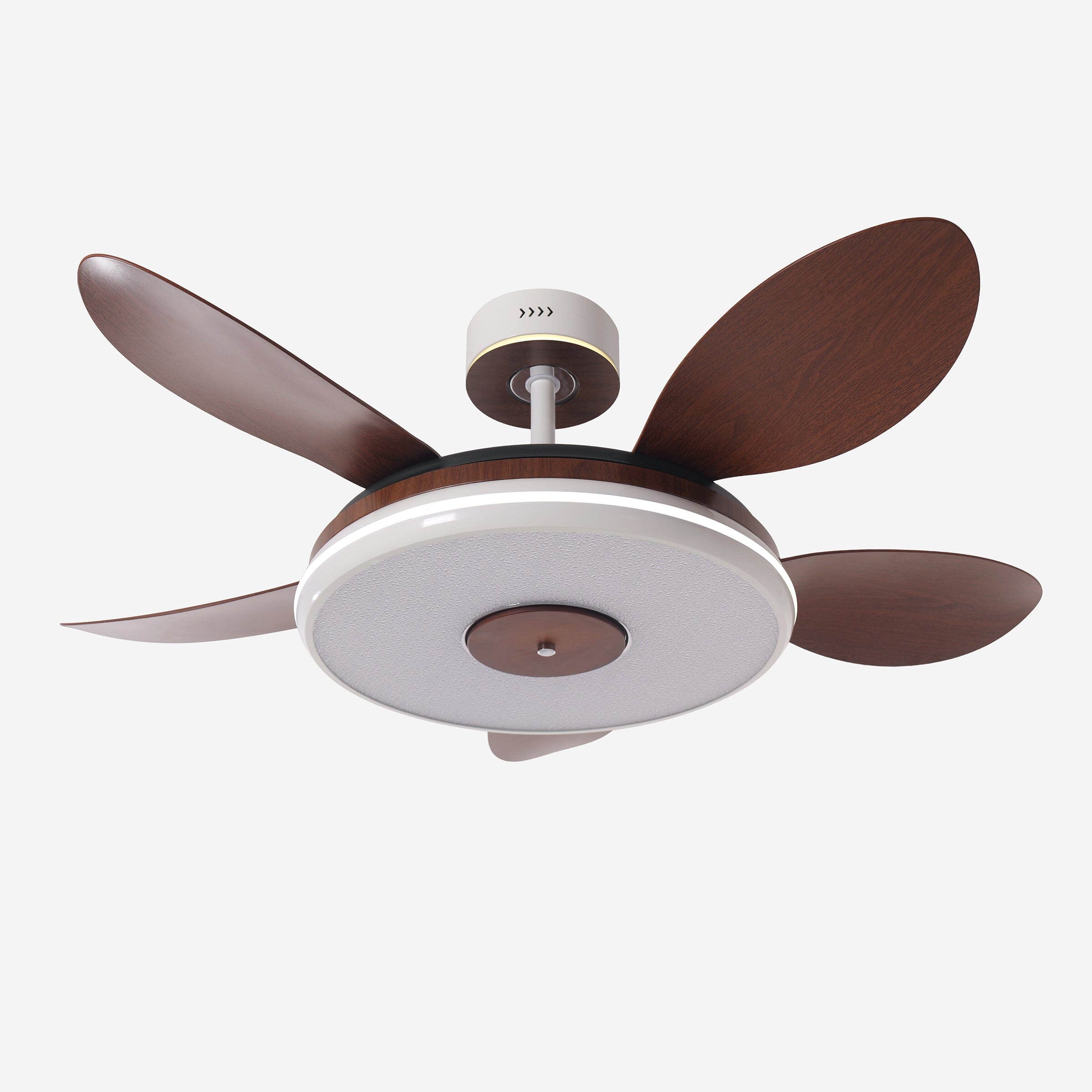 Walnut 48 Inch Reversible LED Ceiling Fan Light with Remote Lightsin UK 