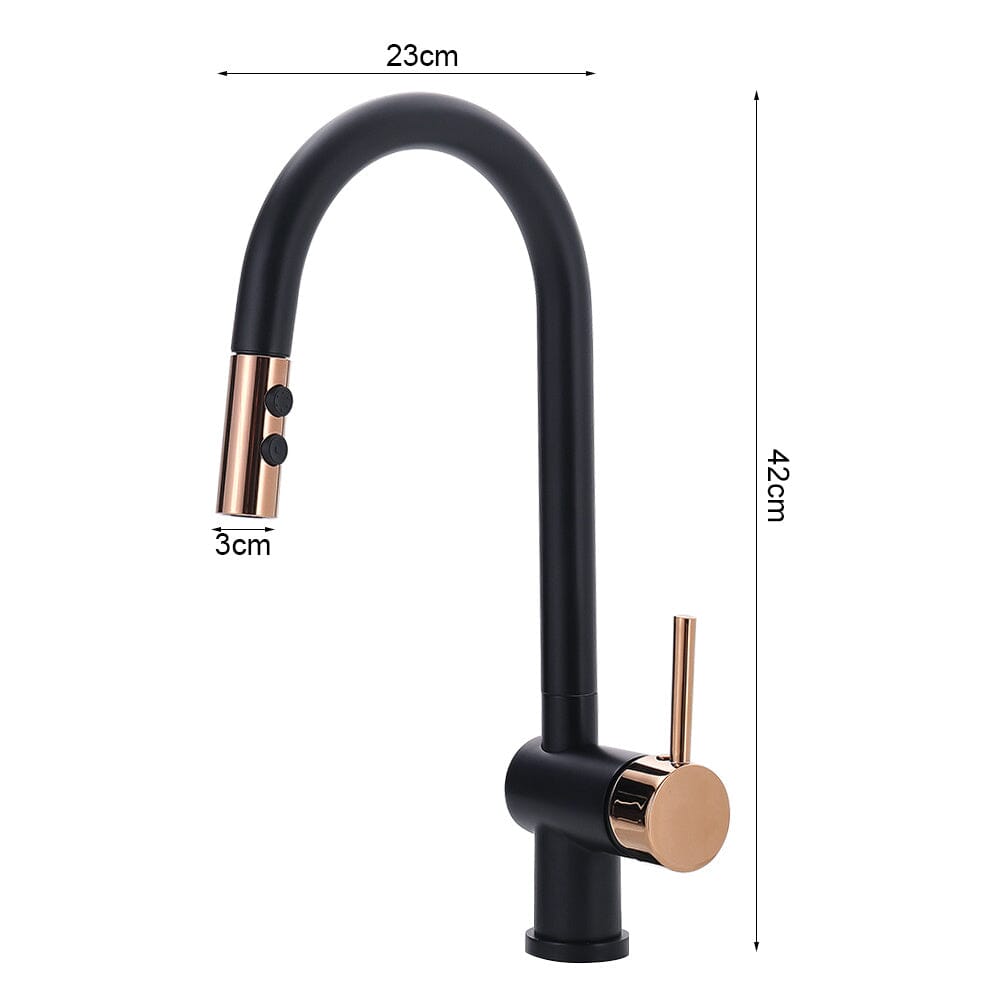 Black Pull Out Single Lever Mono Tap with 2 Jet Options