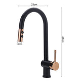 Black Pull Out Single Lever Mono Tap with 2 Jet Options