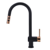 Black Pull Out Single Lever Mono Tap with 2 Jet Options
