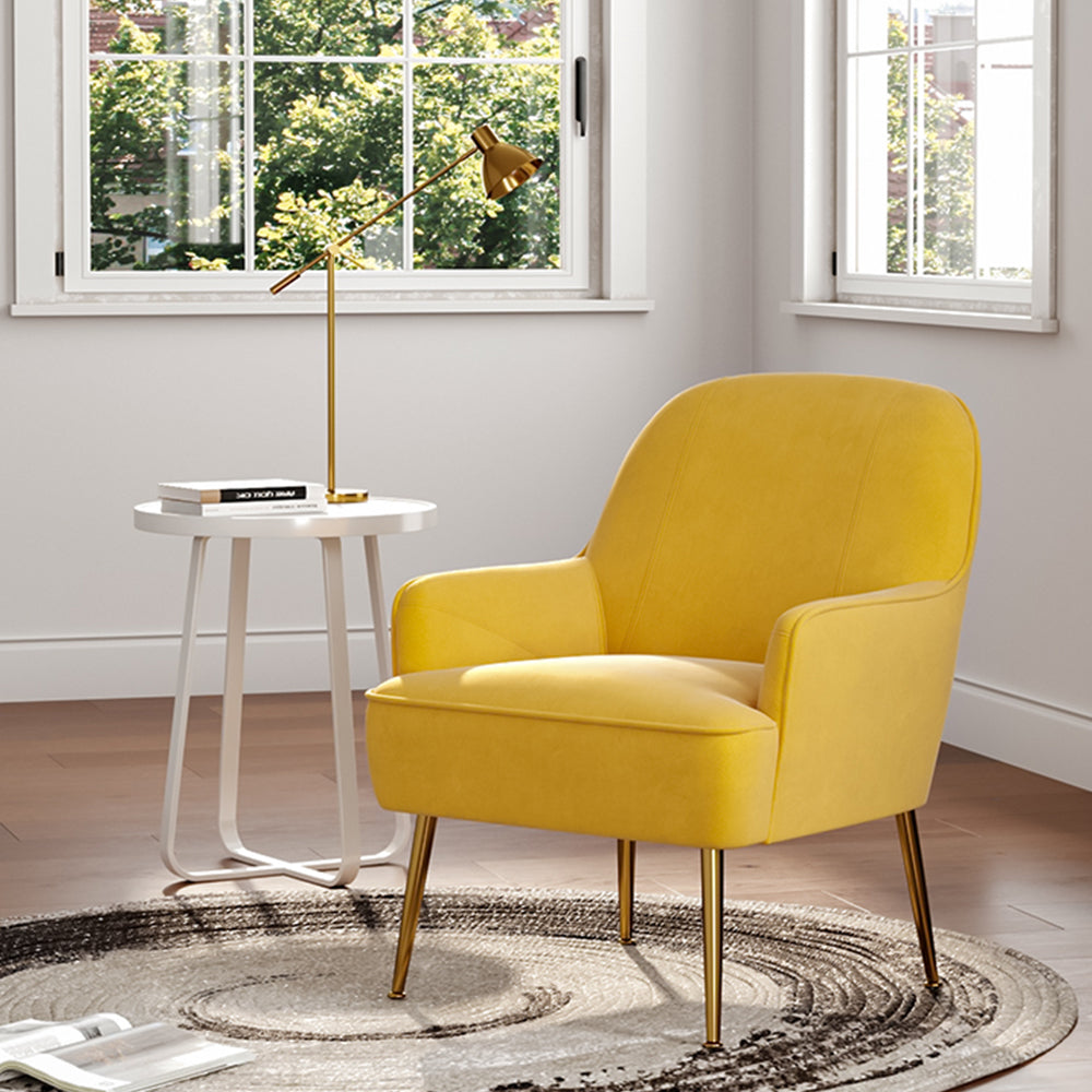 Leisure Velvet Armchair with Goldplated Metal Legs Living and Home