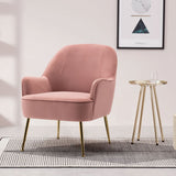 Leisure Velvet Armchair Accent Chair Living and Home 