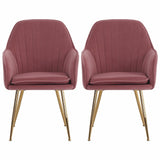 Set of 2 Kitchen Dining Chairs Velvet Leisure Side Chairs Accent Tub Chairs with Armrest Dining Chairs Living and Home 